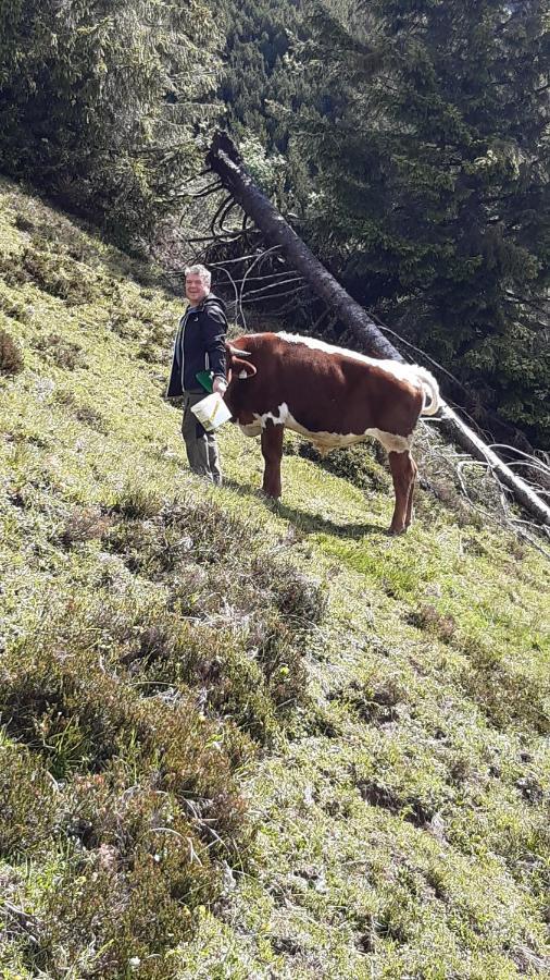 Wiesingbauer Saalfelden ภายนอก รูปภาพ