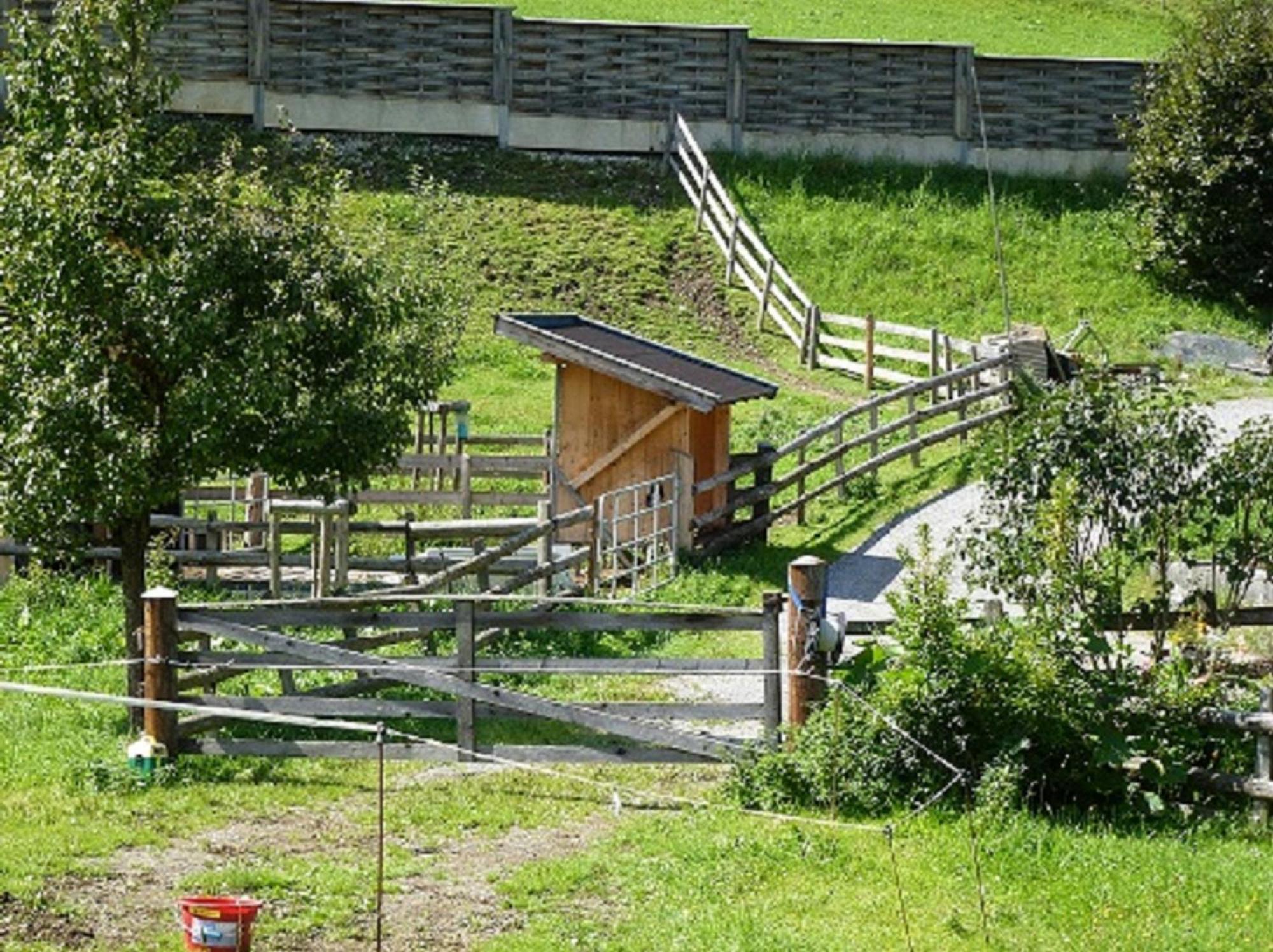 Wiesingbauer Saalfelden ภายนอก รูปภาพ