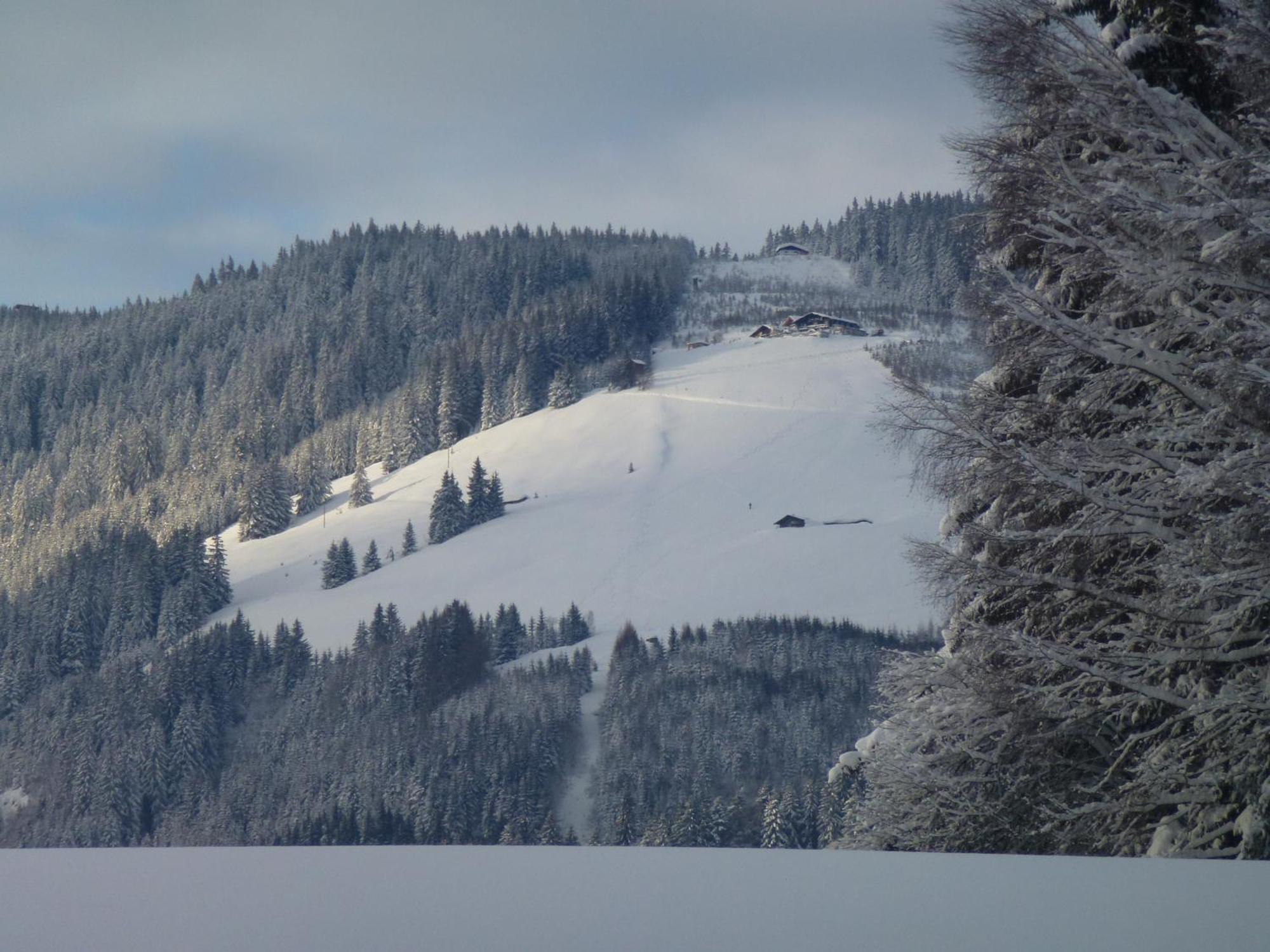 Wiesingbauer Saalfelden ภายนอก รูปภาพ