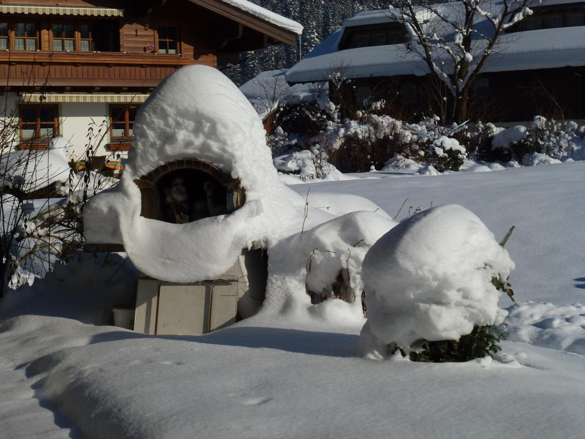 Wiesingbauer Saalfelden ภายนอก รูปภาพ